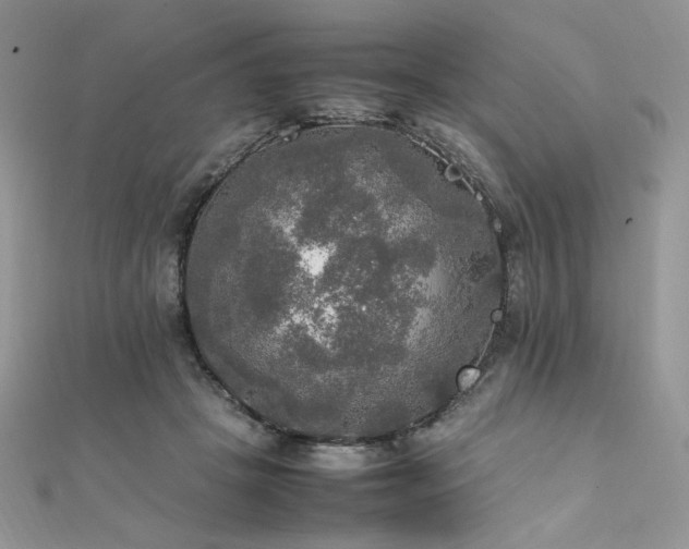 X0000112010457200908031310