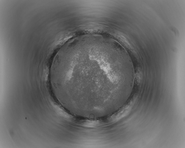 X0000112010458200908031310