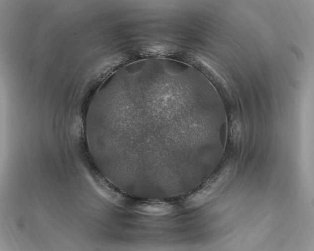 X0000112010459200908031310