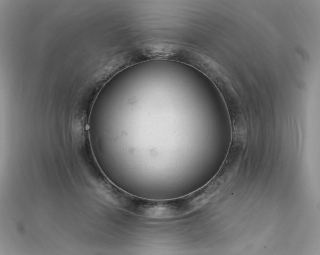 X0000112010460200908031310