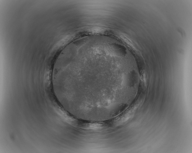 X0000112010462200908031310