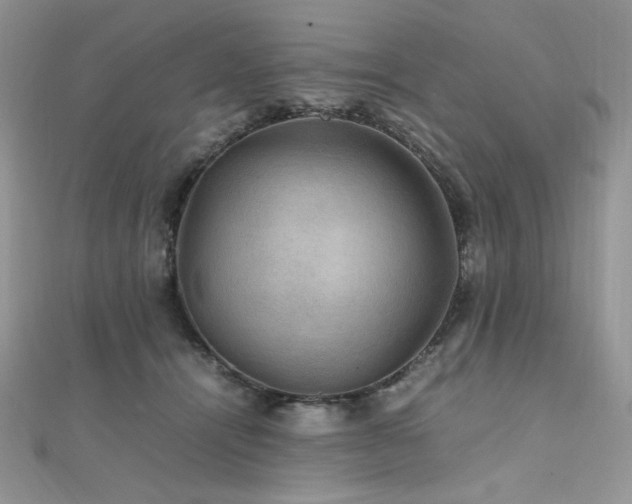 X0000112010464200908031310