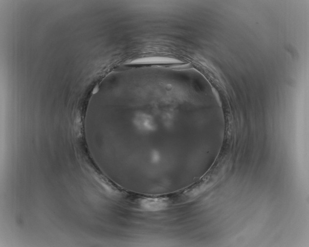 X0000112010465200908031310