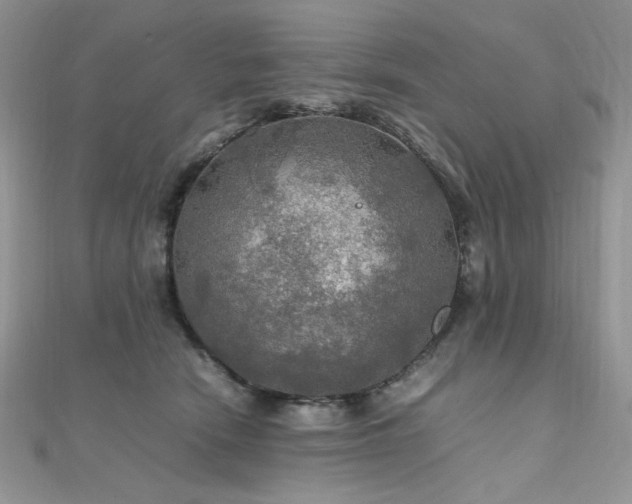 X0000112010466200908031310