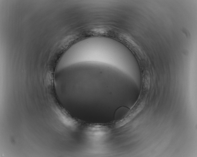 X0000112010467200908031310