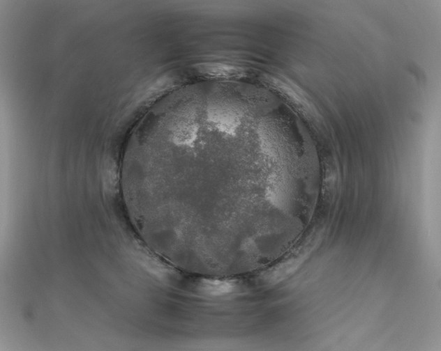 X0000112010469200908031310