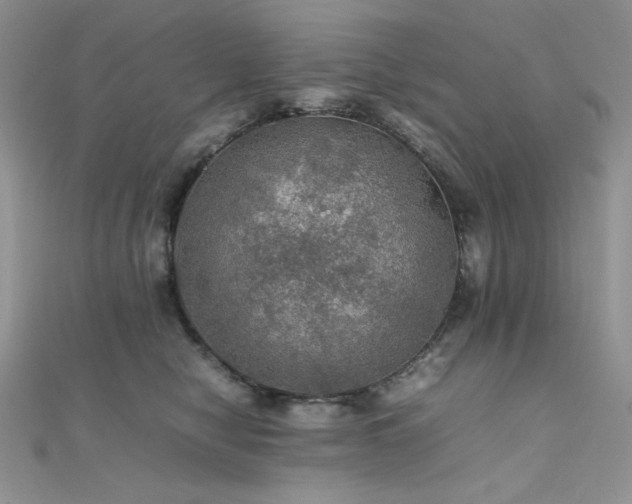 X0000112010470200908031310