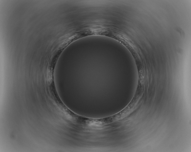 X0000112010471200908031310