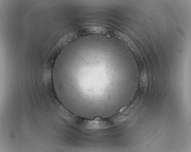 X0000112010473200908031310