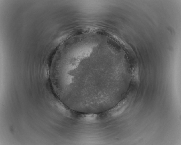 X0000112010474200908031310