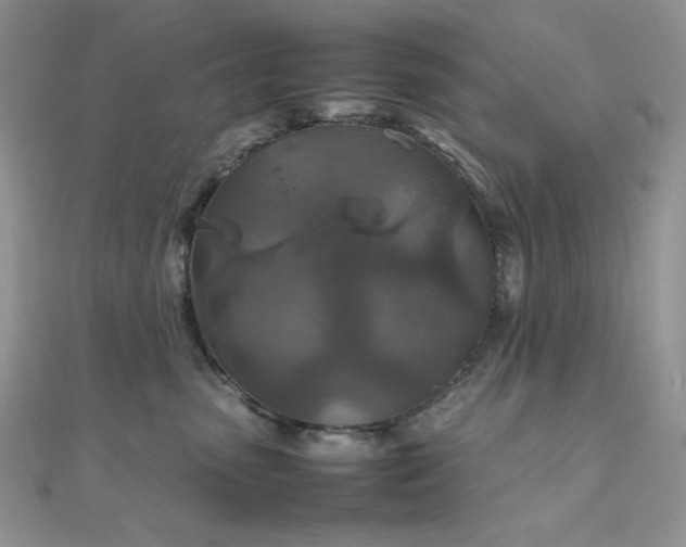 X0000112010475200908031310