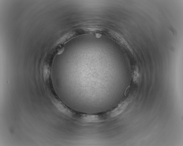 X0000112010476200908031310