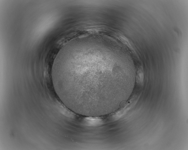 X0000112010477200908031310