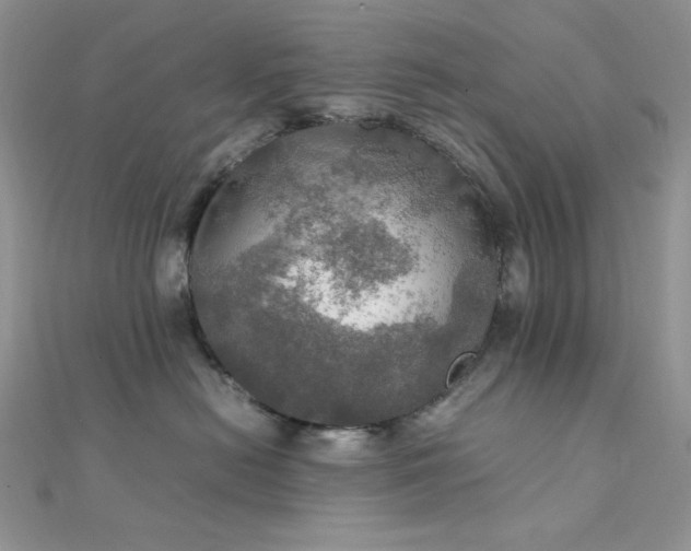 X0000112010478200908031310