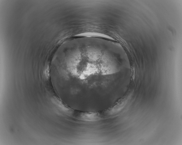 X0000112010479200908031310