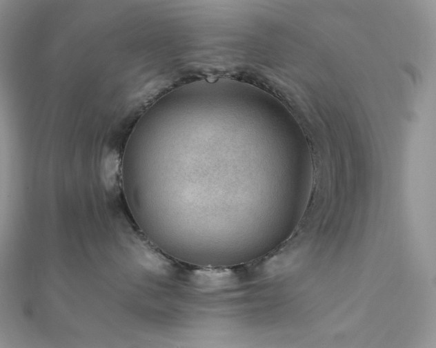 X0000112010480200908031310