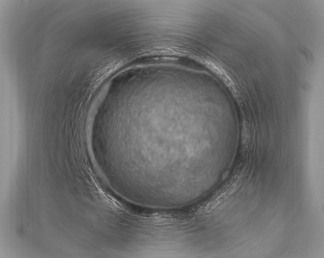 X0000112010481200908031310