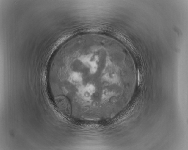 X0000112010483200908031310