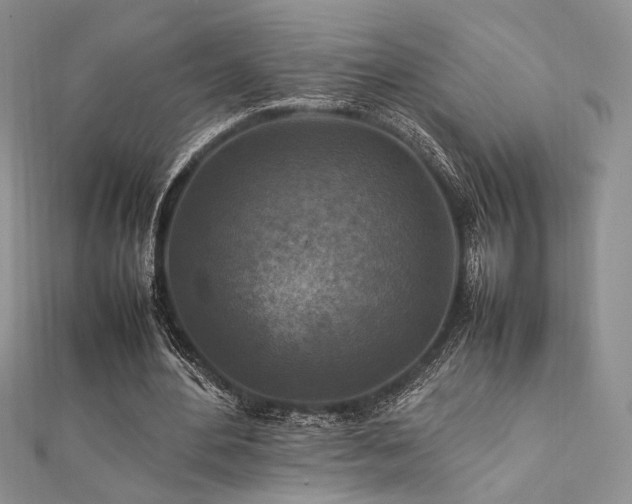 X0000112010484200908031310