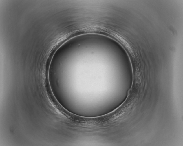 X0000112010485200908031310