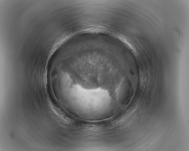 X0000112010486200908031310