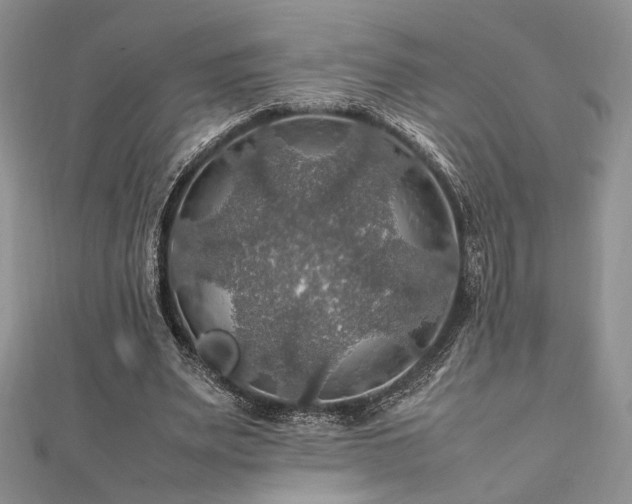 X0000112010487200908031310