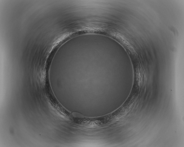 X0000112010488200908031310