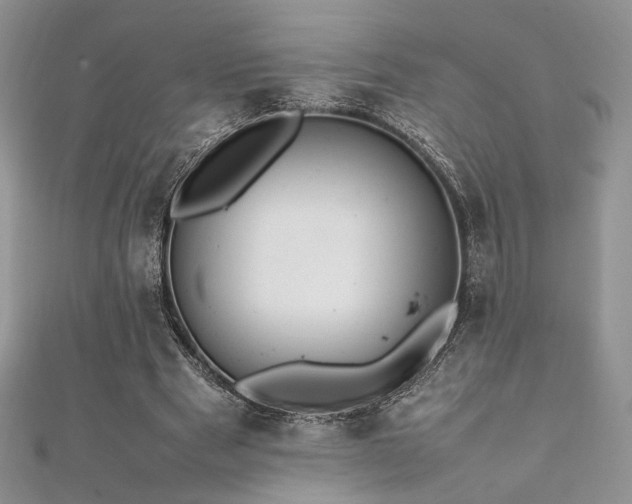 X0000112010489200908031310