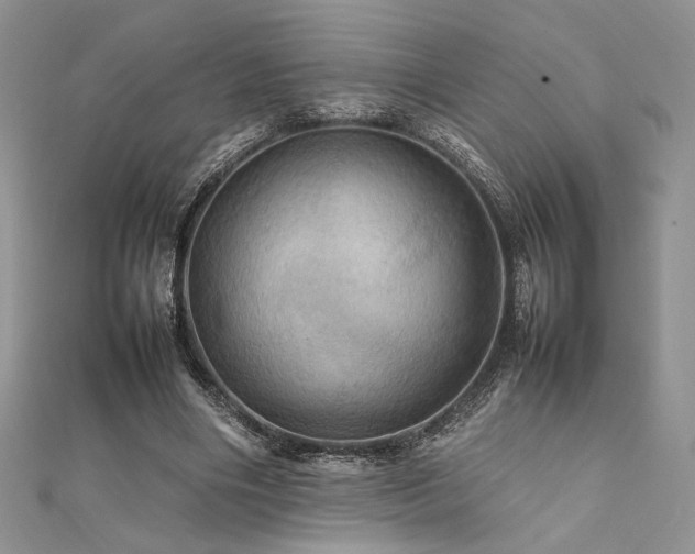 X0000112010490200908031310