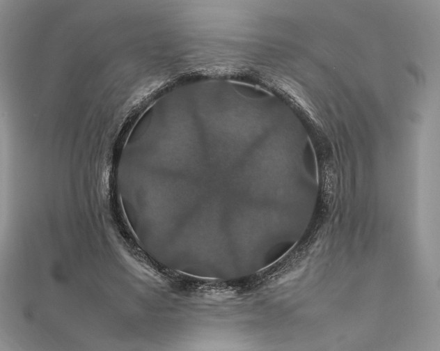 X0000112010491200908031310