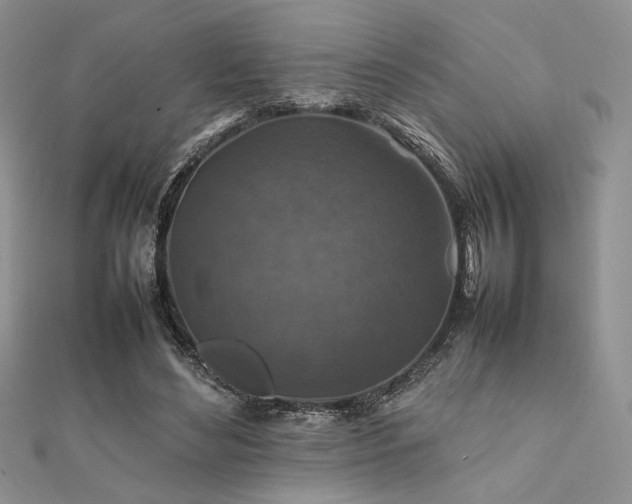 X0000112010492200908031310