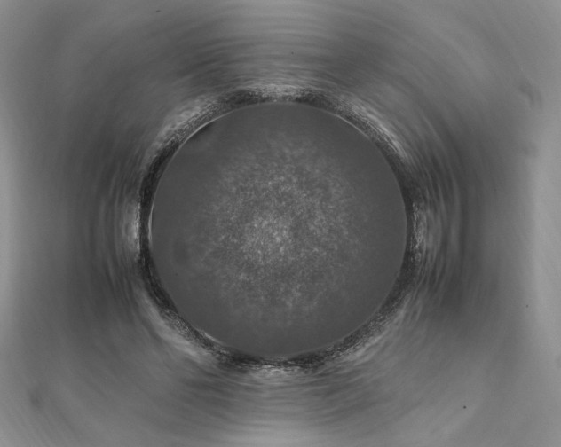 X0000112010494200908031310