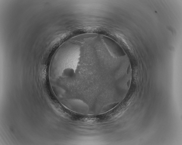 X0000112010495200908031310