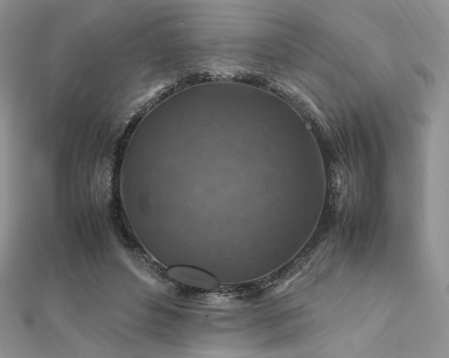 X0000112010496200908031310