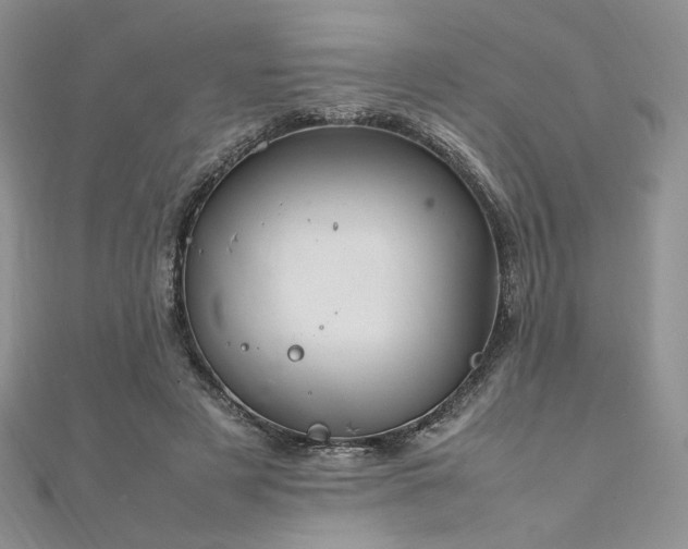 X0000112010497200908031310