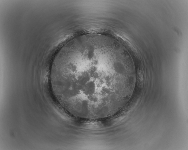 X0000112010499200908031310