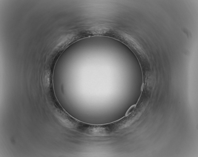 X0000112010501200908031310