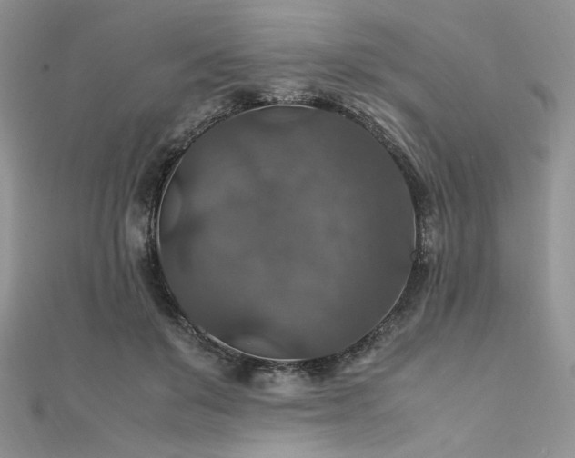 X0000112010503200908031309