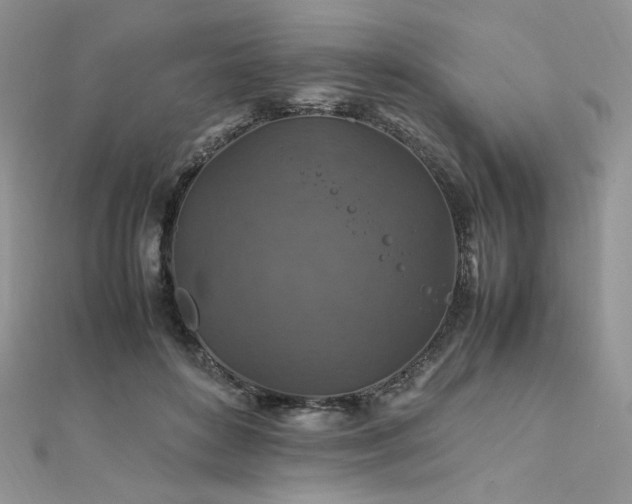 X0000112010504200908031309