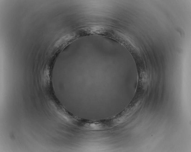 X0000112010506200908031309