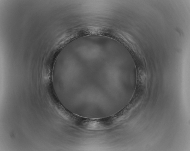 X0000112010507200908031309