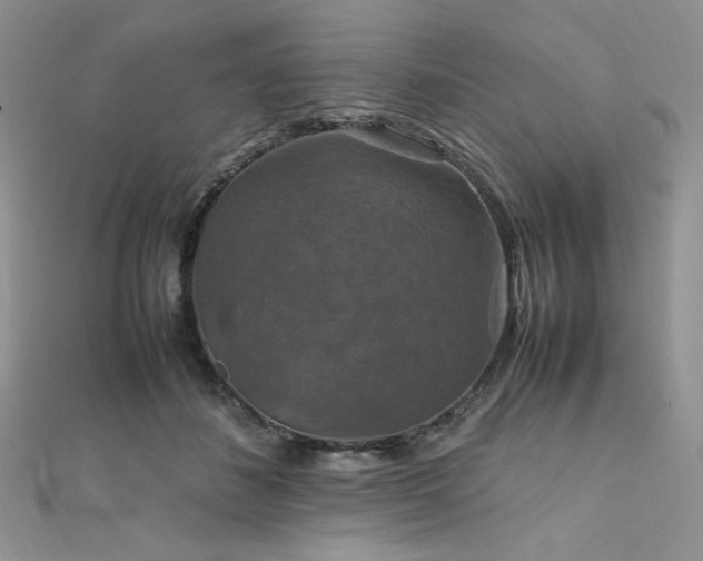 X0000112010508200908031309