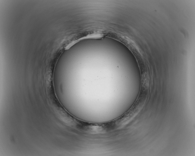 X0000112010509200908031309