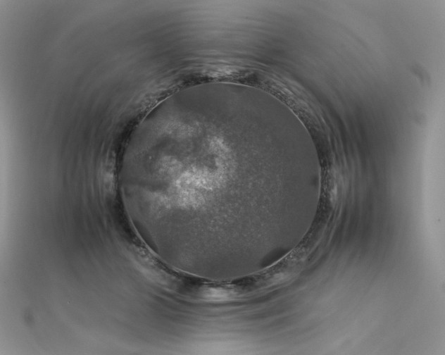 X0000112010510200908031309