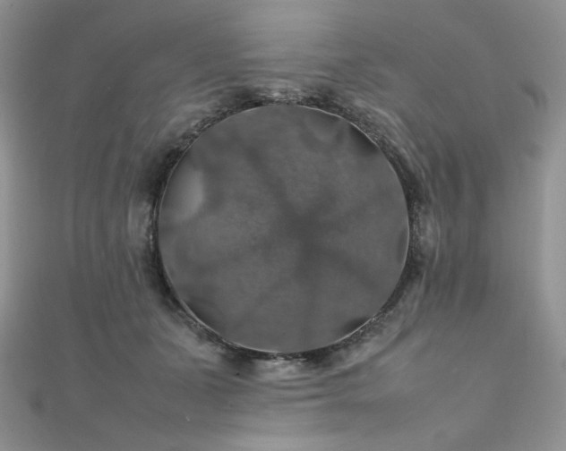 X0000112010511200908031309