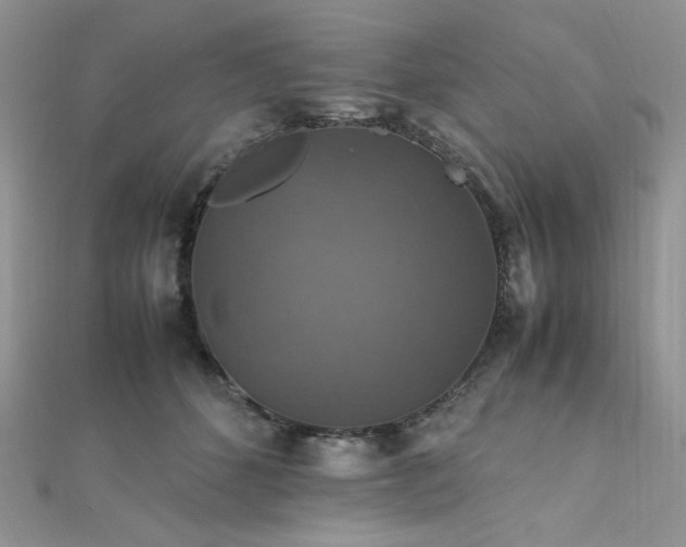 X0000112010512200908031309