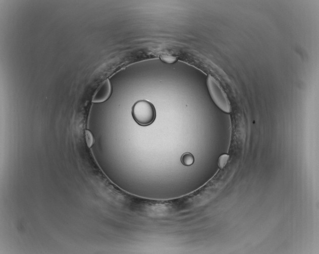 X0000112010513200908031309