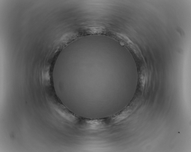 X0000112010516200908031309