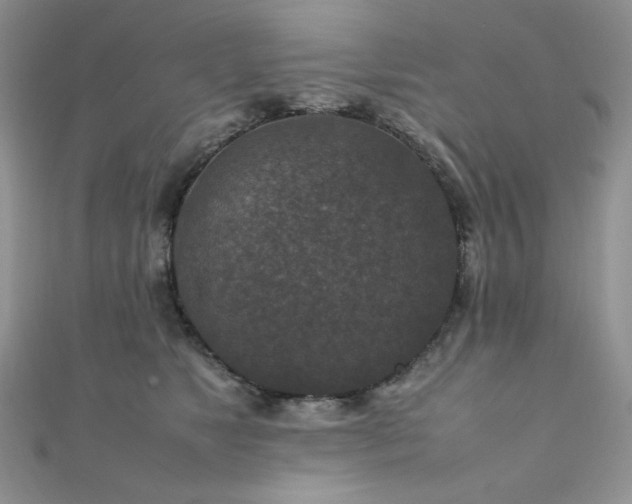 X0000112010517200908031309