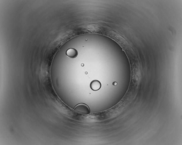 X0000112010518200908031309